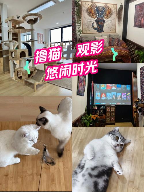 18禁黄网站在线的相关介绍
