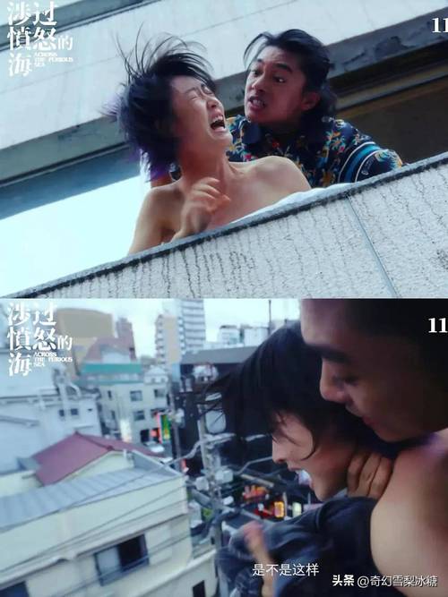 岛国毛片基地的相关介绍