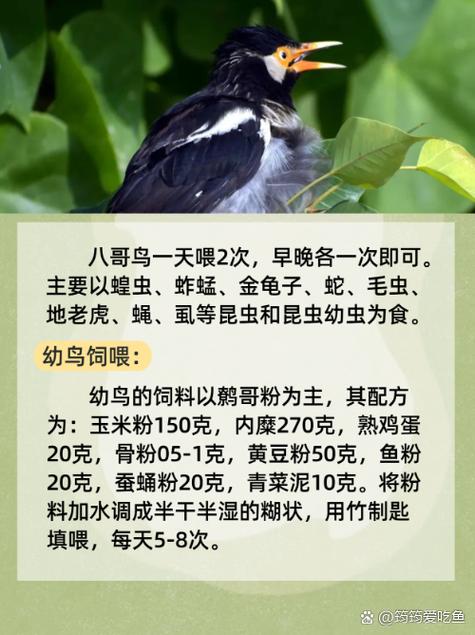 高清无遮挡毛片的相关介绍