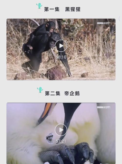 第一次破女18的相关介绍