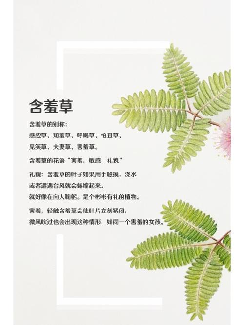 julianan欧美激情熟妇的相关介绍