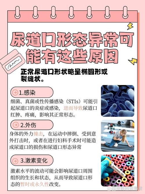 亚洲综合少妇15p的相关介绍