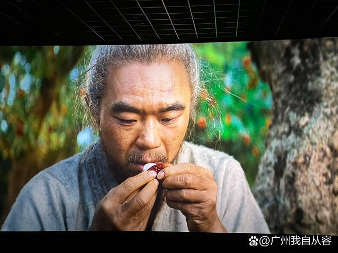 影院在线观看的相关介绍