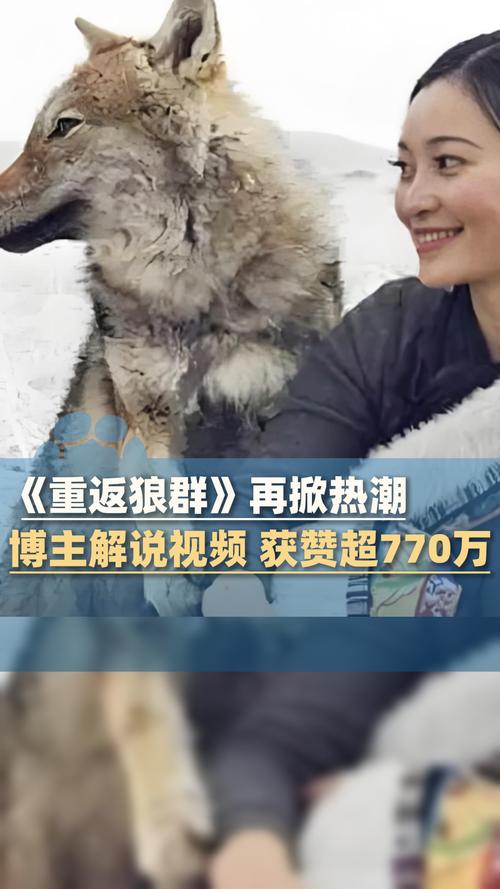 精品人妻中文有码的相关介绍