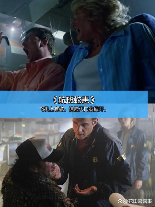 绵阳万达影院的相关介绍