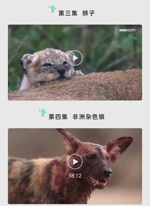 精油按摩 日本的相关介绍