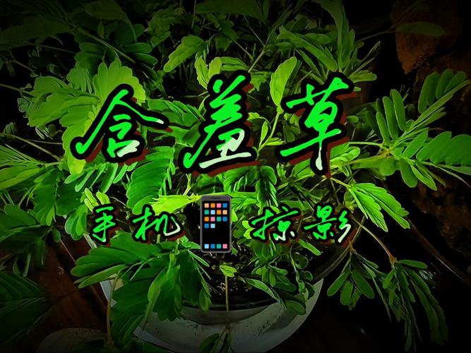 中文在线熟女人妻的相关介绍
