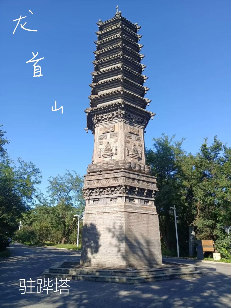 18禁视频网站免费入口的相关介绍