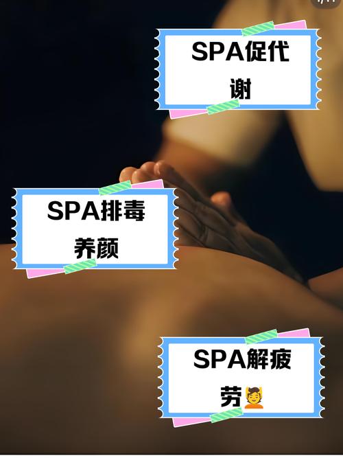 av熟女片的相关介绍