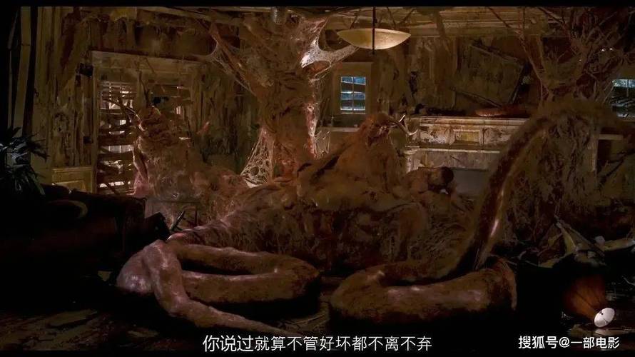 51啪影院的相关介绍