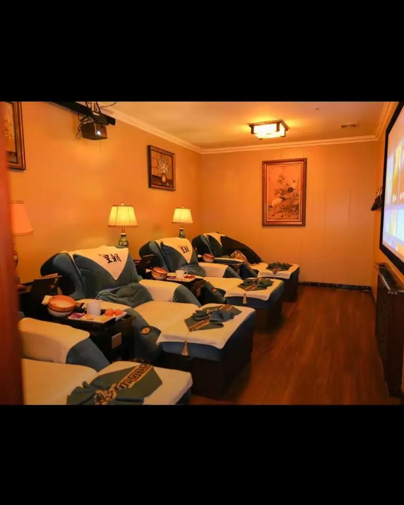 视频app免费看的相关介绍