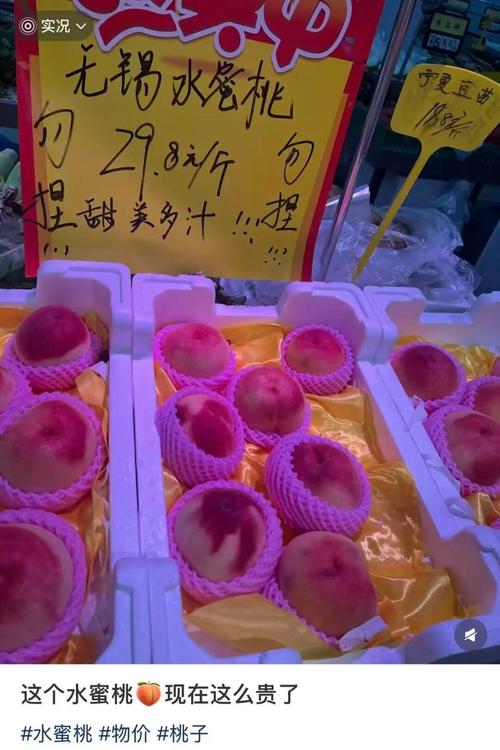 亚洲精品少妇30p的相关介绍