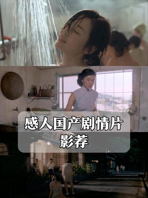 飞鸿影院的相关介绍