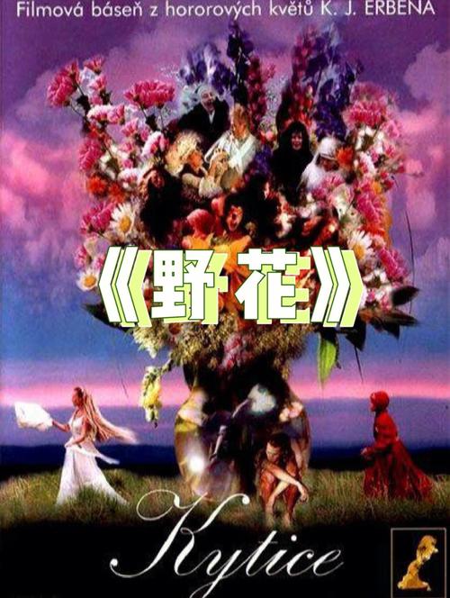 色尼姑影院的相关介绍