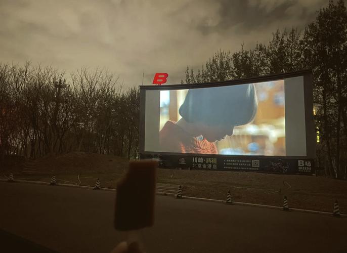 久久久成人大片的相关介绍