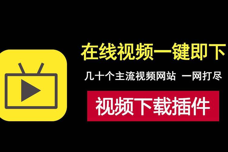 va在线播放的相关介绍