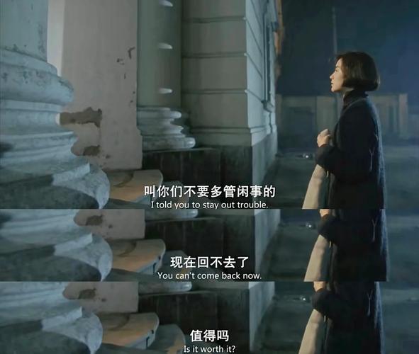 国产高清老女人毛片的相关介绍