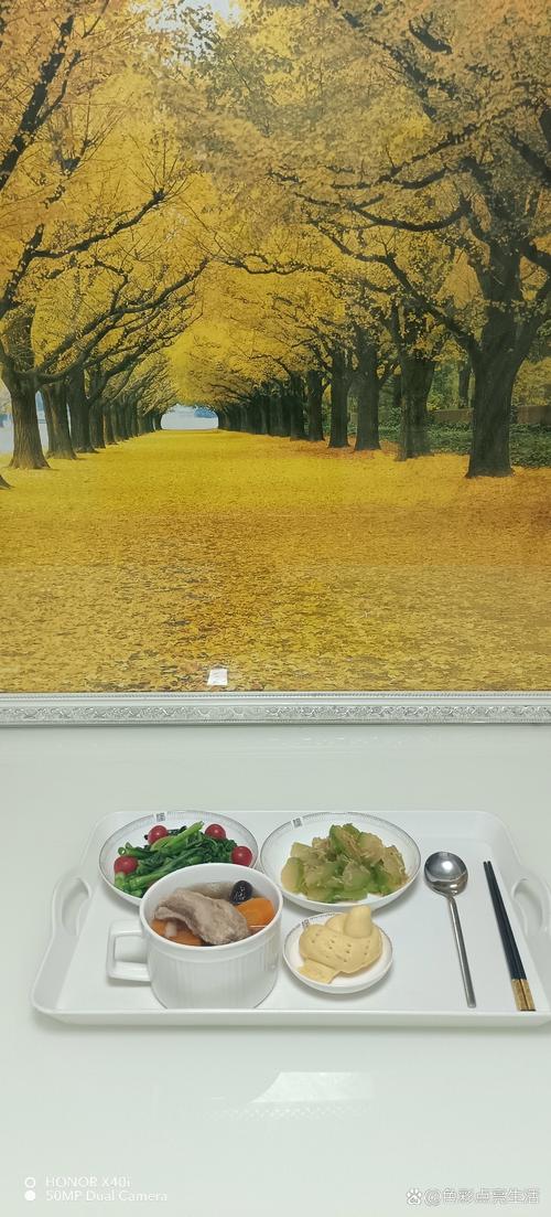 九九影院久久视频在线观看的相关介绍