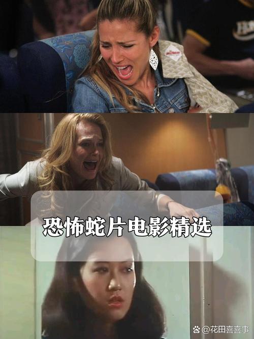 成人av毛片网的相关介绍