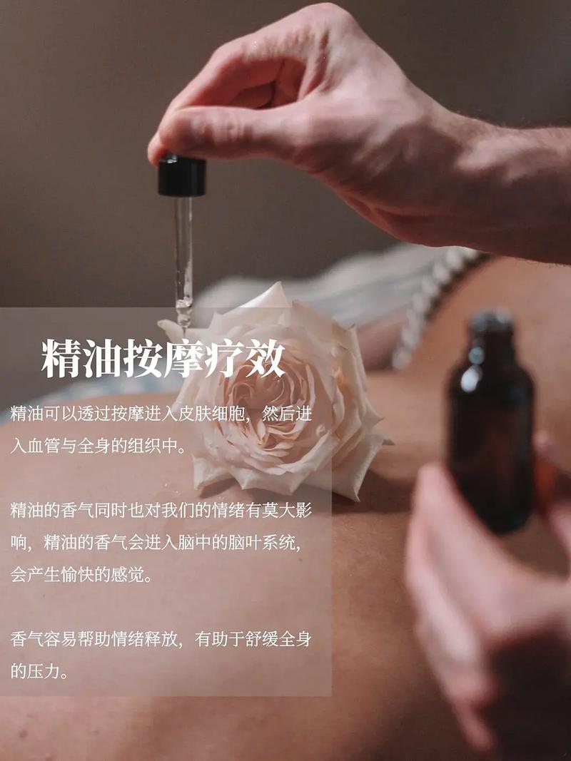 少妇黄av的相关介绍