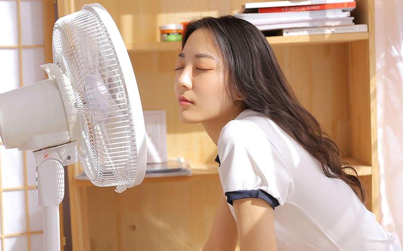中文国产黑丝av的相关介绍