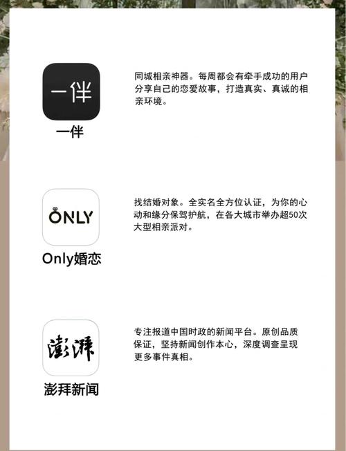 麻豆影院的相关介绍