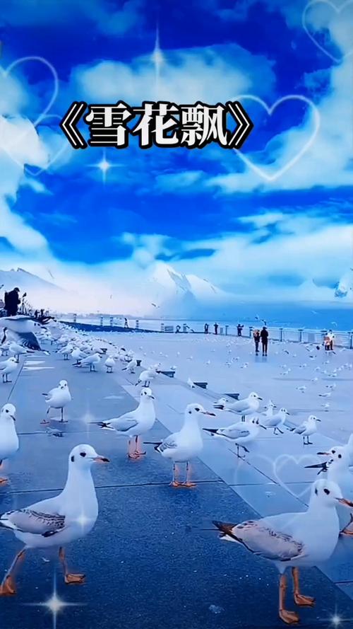 欧美精美久久的相关介绍