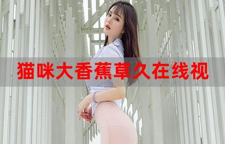 午夜看福利的相关介绍