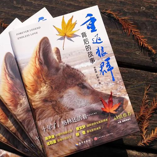 黄色激情影院的相关介绍