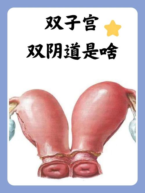 和人妻啪啪啪的相关介绍