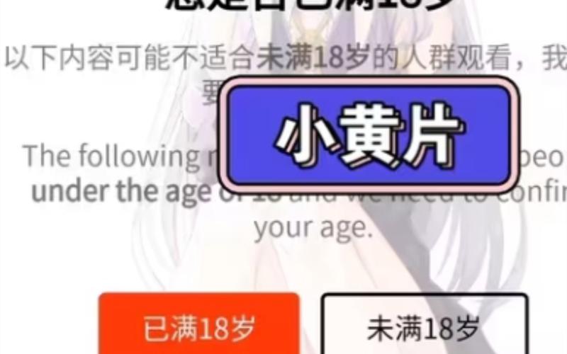 新米奇影院的相关介绍