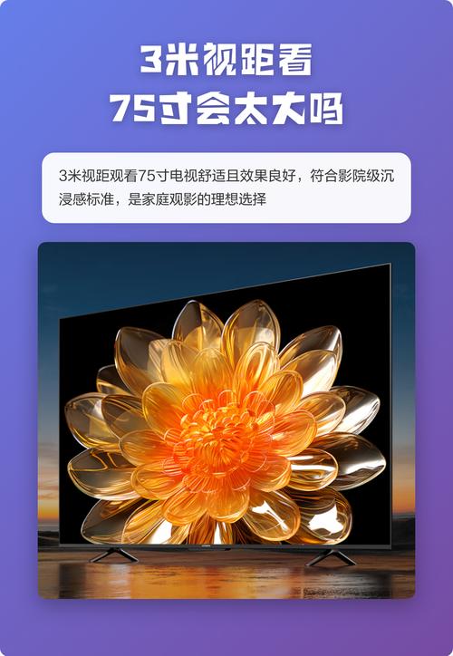 成人影院a片的相关介绍