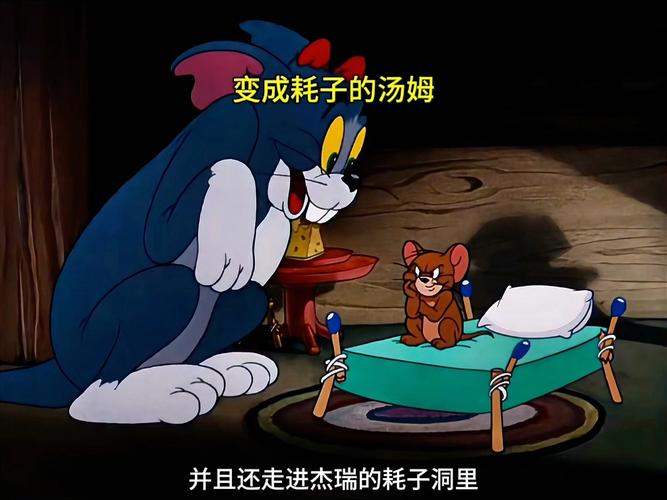 西瓜影院播放器的相关介绍