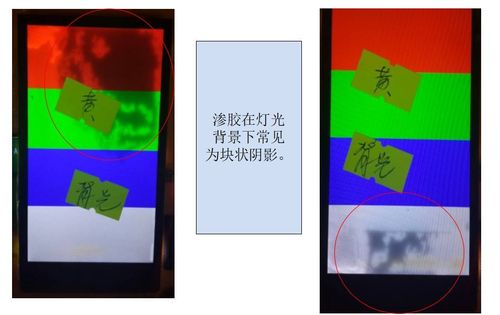 欧美性日日摸夜夜一区二区的相关介绍
