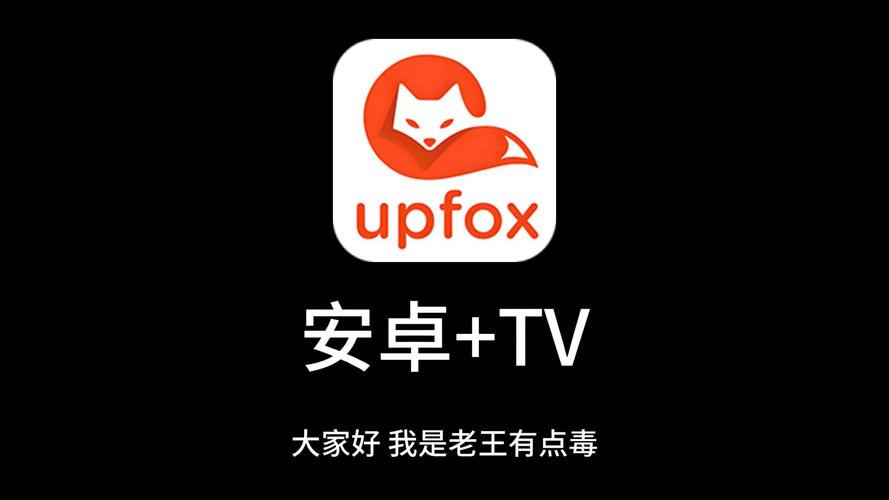 岛国岛毛片的相关介绍