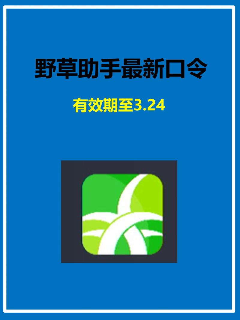 老司机电影院普通体验区的相关介绍