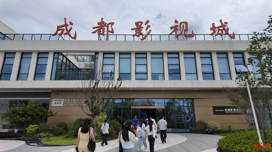 人妻中出有码在线的相关介绍