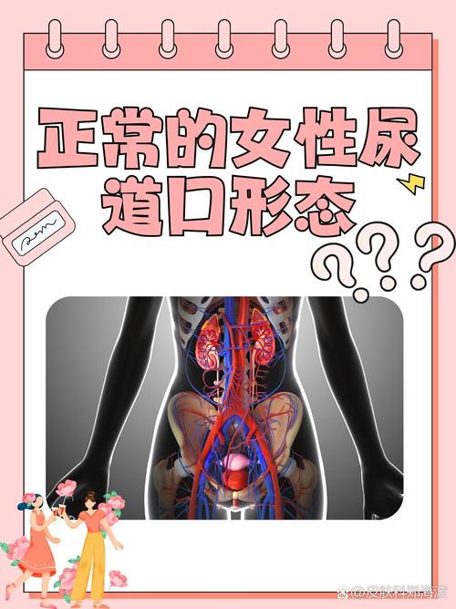 人妻少妇精品激情在线的相关介绍