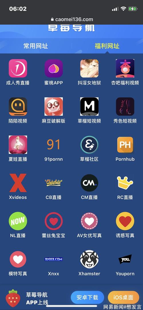 征服少妇人妻的相关介绍