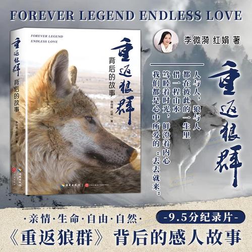 免费的熟女黄色2级片的相关介绍