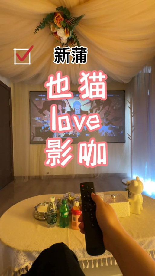 4480影院青苹果影院手机版的相关介绍