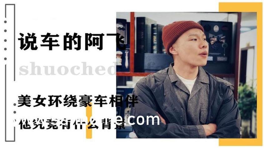 少妇空姐人妻a在线的相关介绍
