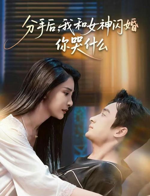免费app看视频的相关介绍
