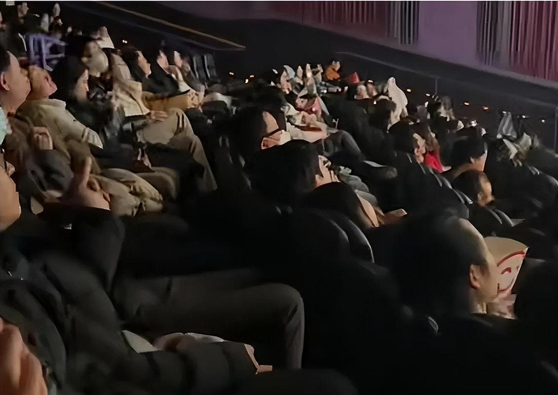 成人影院的相关介绍