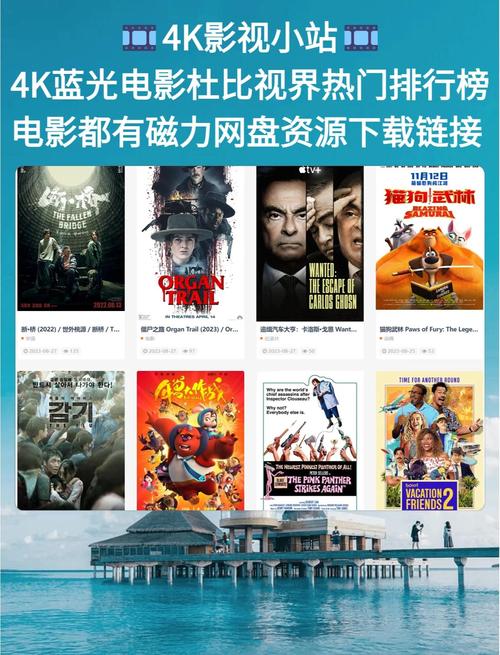 欧美老熟妇乱xxxxx的相关介绍
