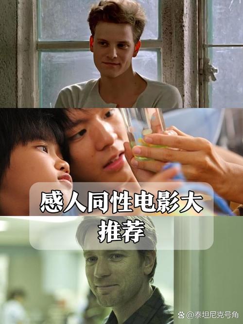 少妇av网的相关介绍
