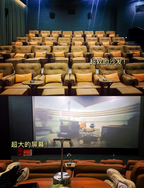 看看女人的逼的相关介绍