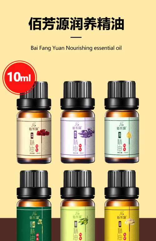 操老师的逼视频的相关介绍