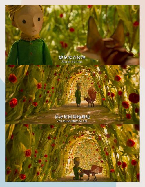 少妇少妇少妇少妇av的相关介绍